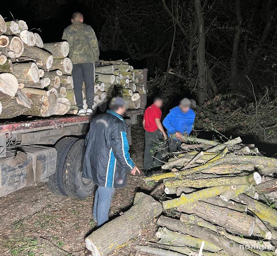 "чорні лісоруби"