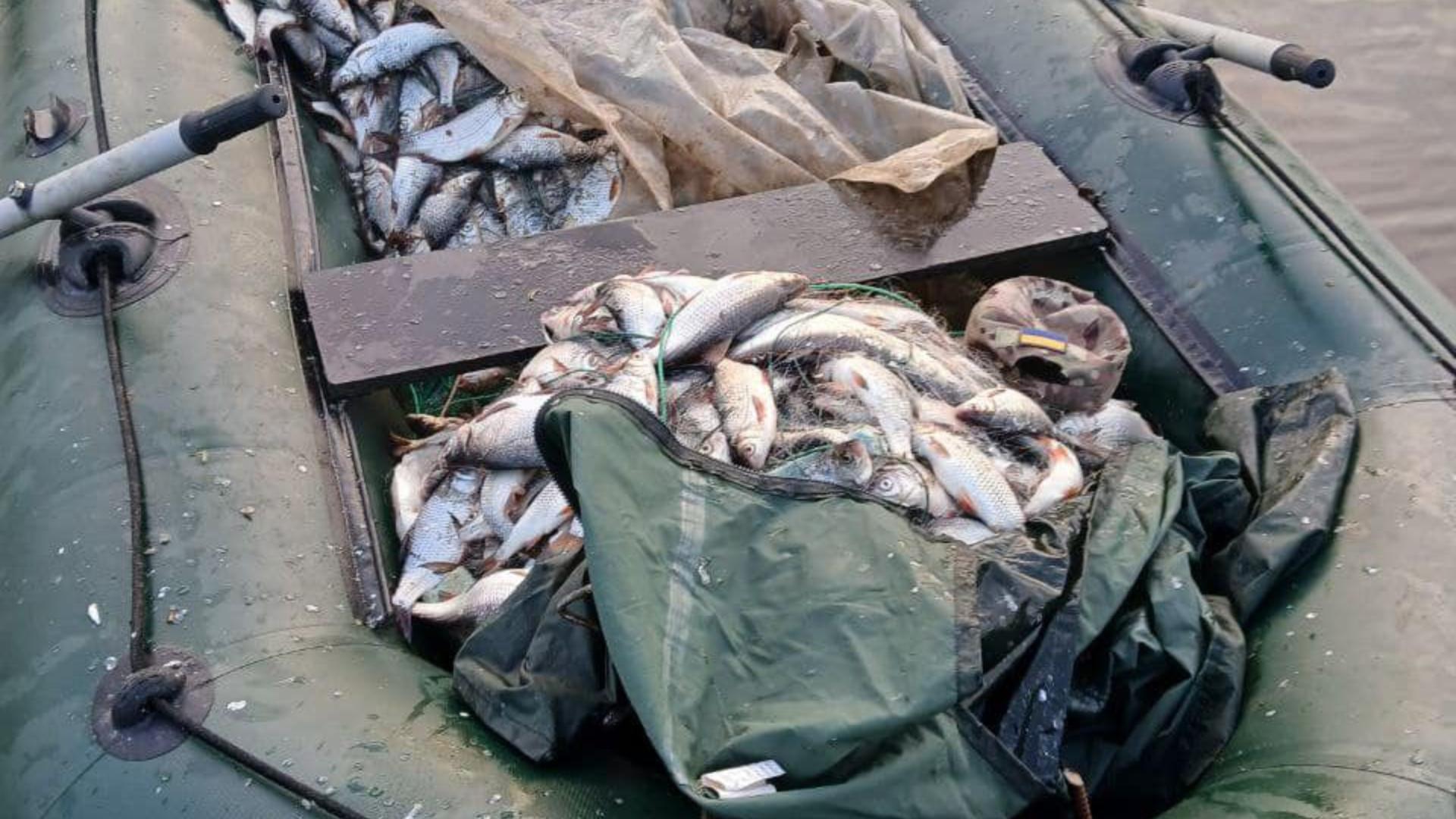 риби на 6,5 мільйонів наловив чоловік у Світловодську