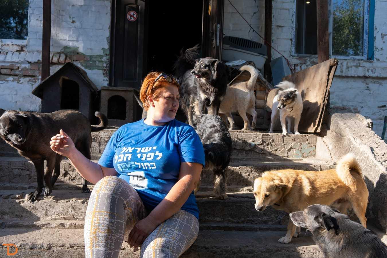 притулок БІМ Кропивницький