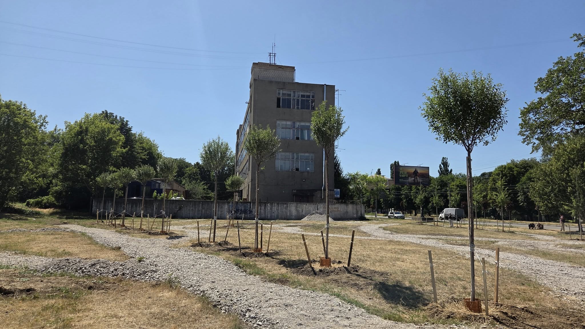 Висадили дерева в сквері на Соборній