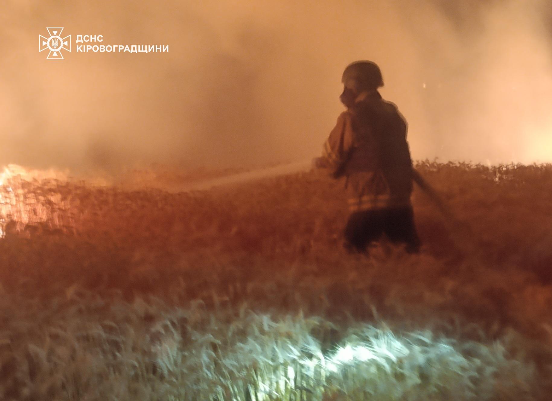 Фото пожежі у полі