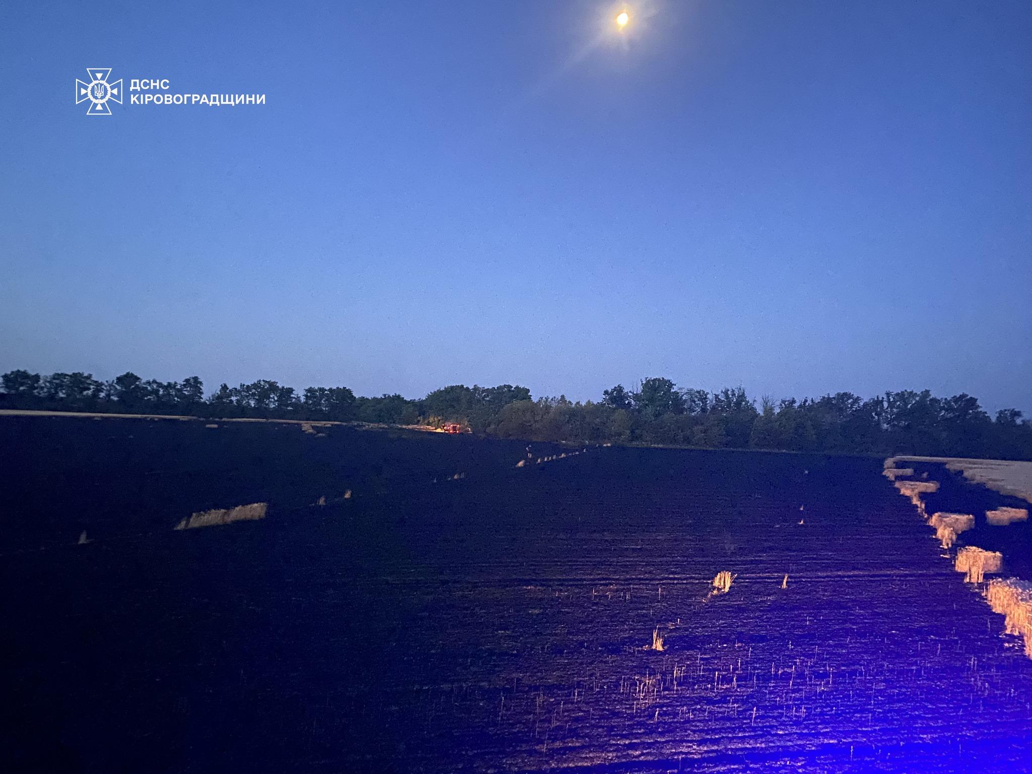 Горіло поле пшениці