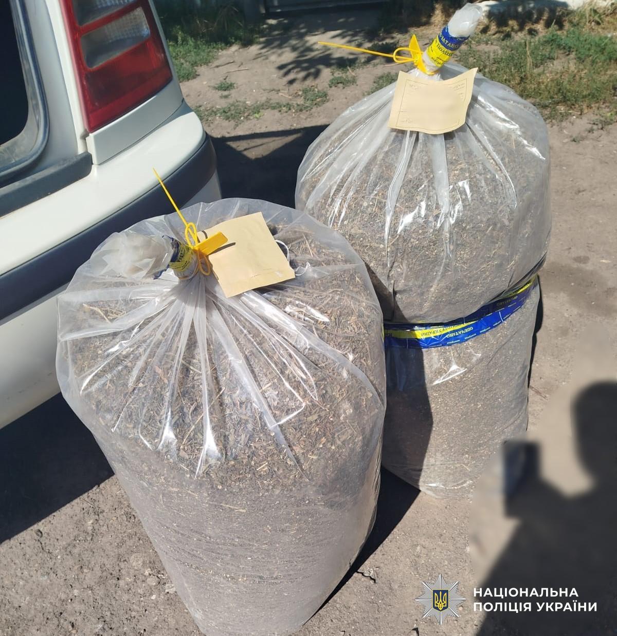 Плантація конопель і корпус гранати: на Кіровоградщині затримали чоловіка