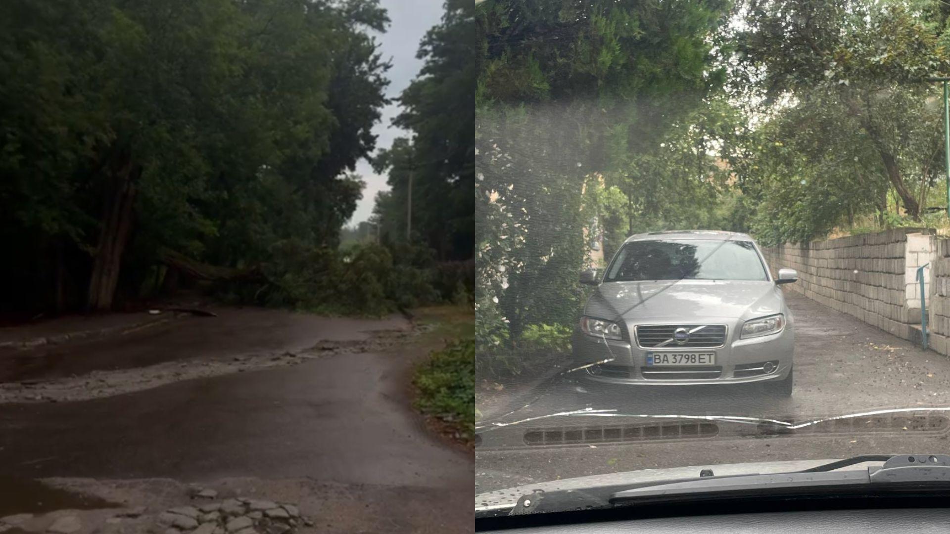 Обірвані дроти й повалені дерева: наслідки негоди у Кропивницькому (ФОТО)