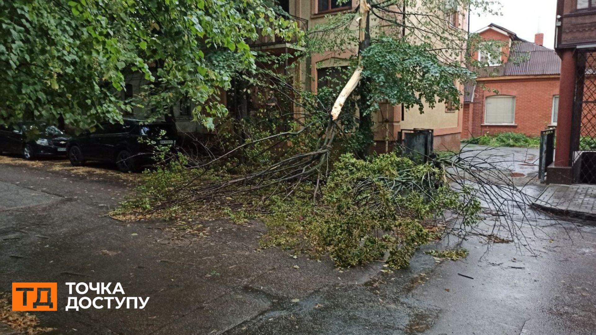 Обірвані дроти й повалені дерева: наслідки негоди у Кропивницькому (ФОТО)