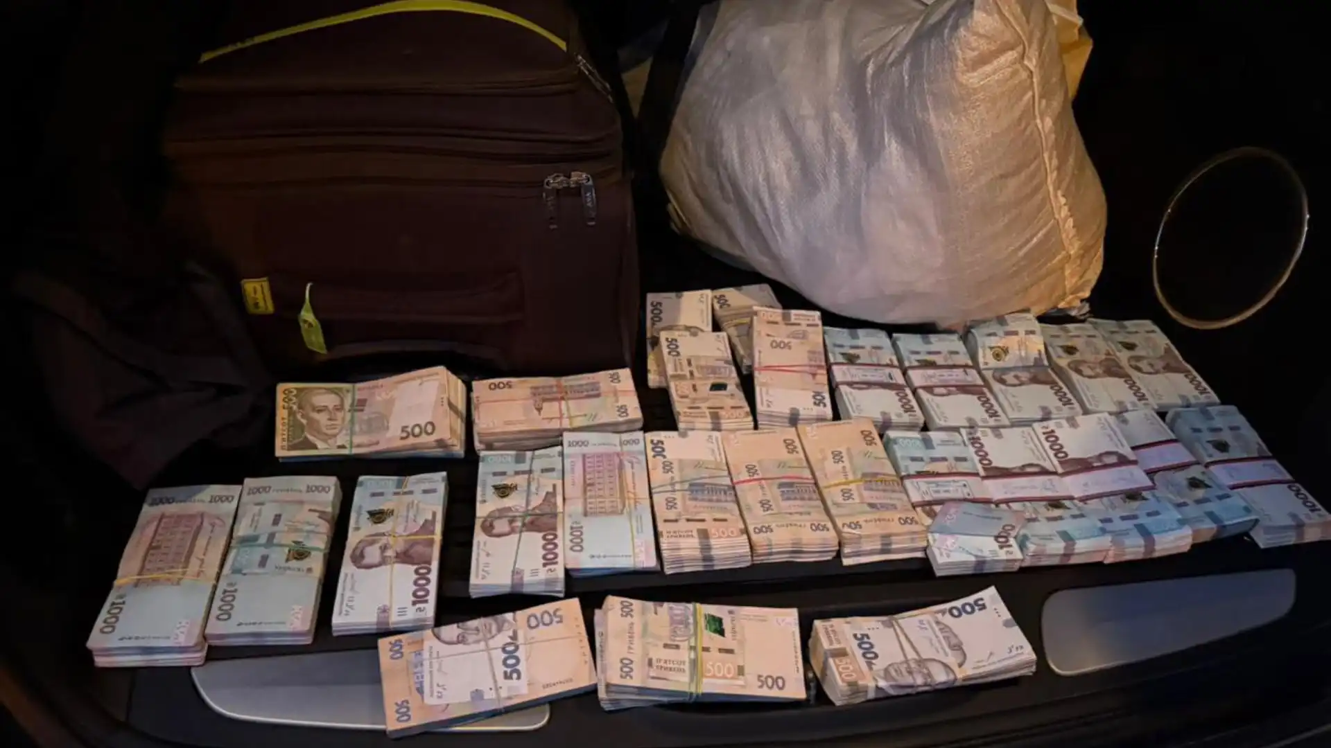 Діяли в шести областях: незаконну вирубку дубів викрили на Кіровоградщині