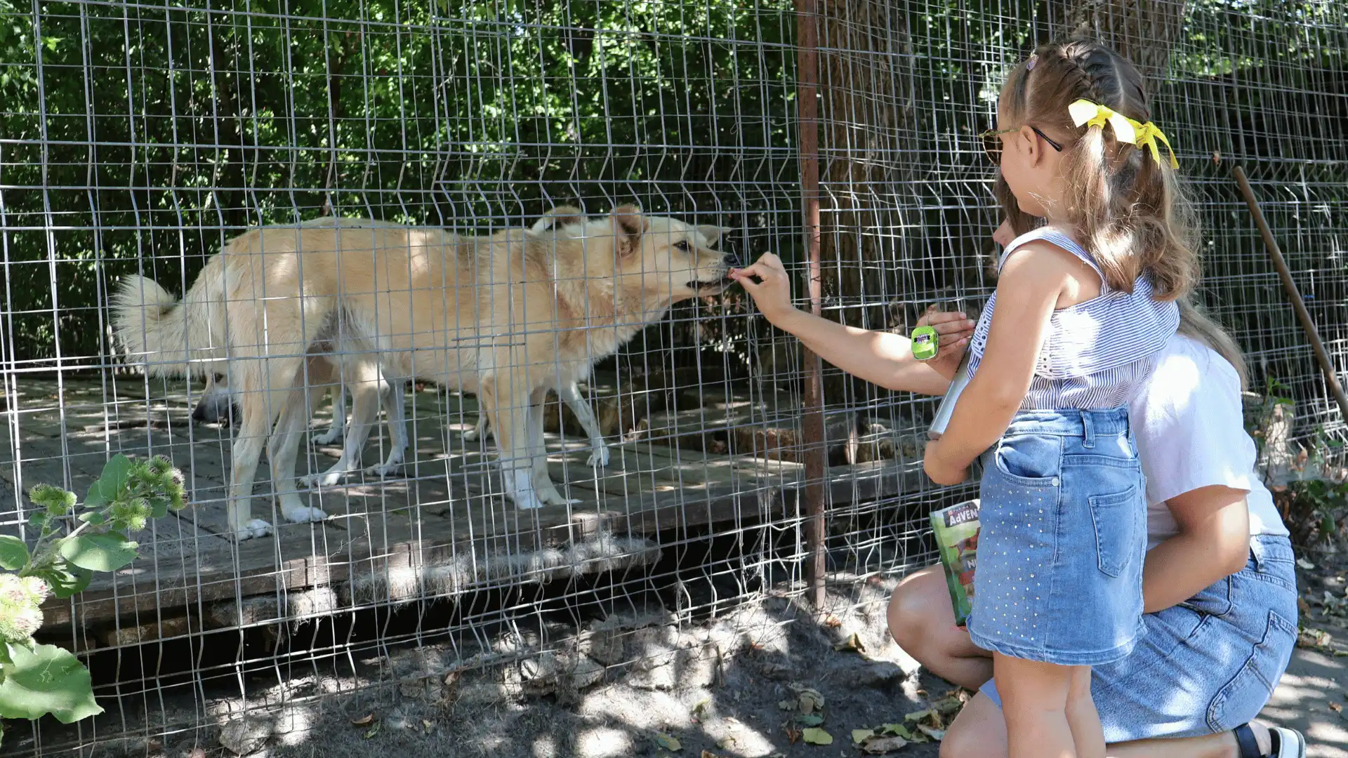 Люди в притулку для тварин