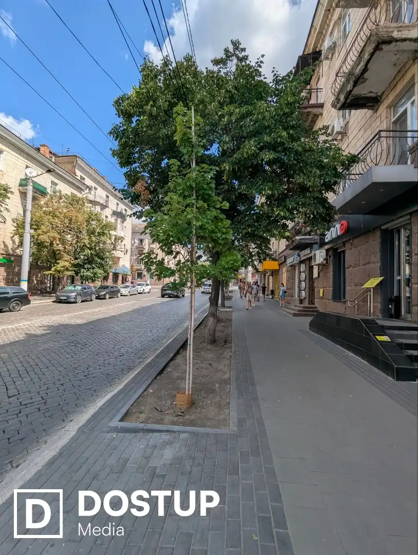 42 дерева посадили на безбар'єрному маршруті у Кропивницькому