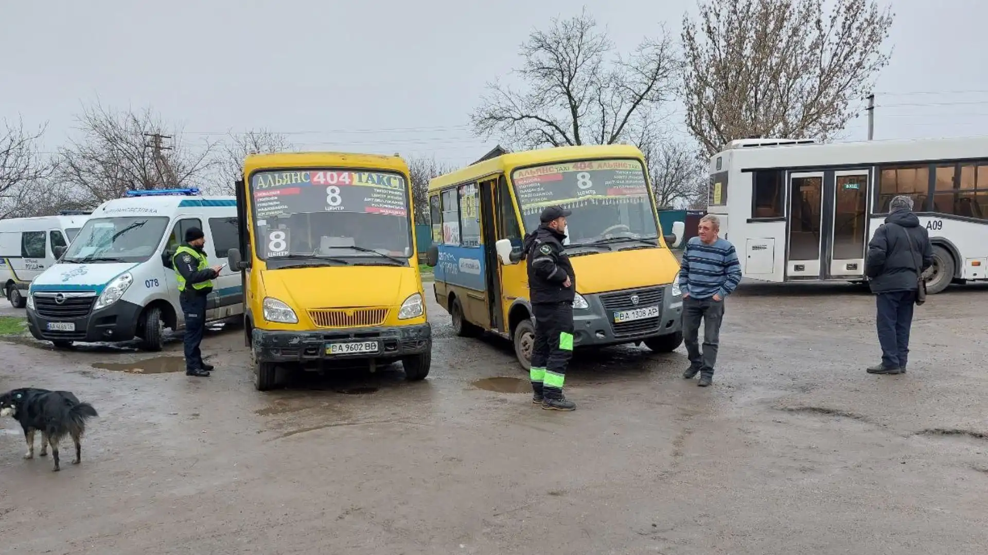 У перевізників маршруток № 21 та 44 у Кропивницькому виявили порушення