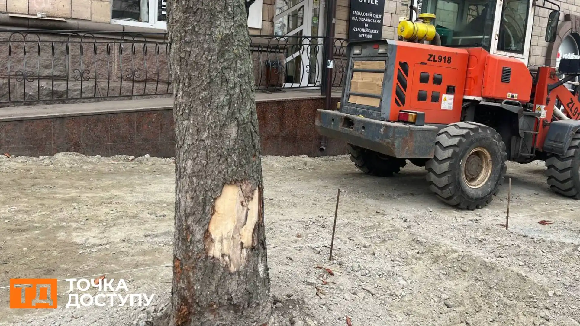 Не менше 20 дерев у Кропивницькому пошкодили під час ремонту тротуарів: що з ними буде