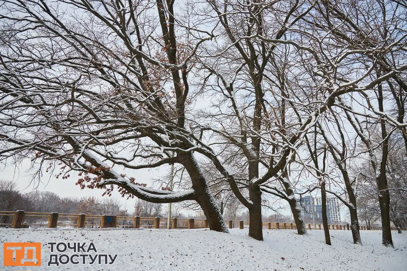 Холодна погода у Кропивницькому не завадила містянам насолоджуватися зимою.