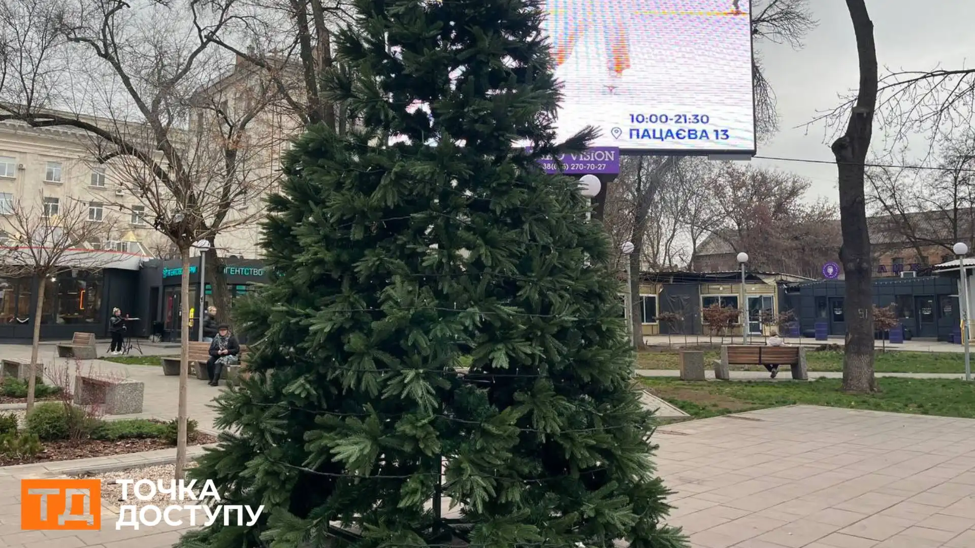 Встановили ялинку в Центральному сквері у Кропивницькому