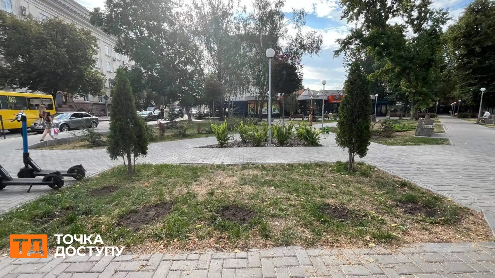 У Центральному сквері викопали шість засохлих туй: в “Благоустрої” розповіли причину їх всихання
