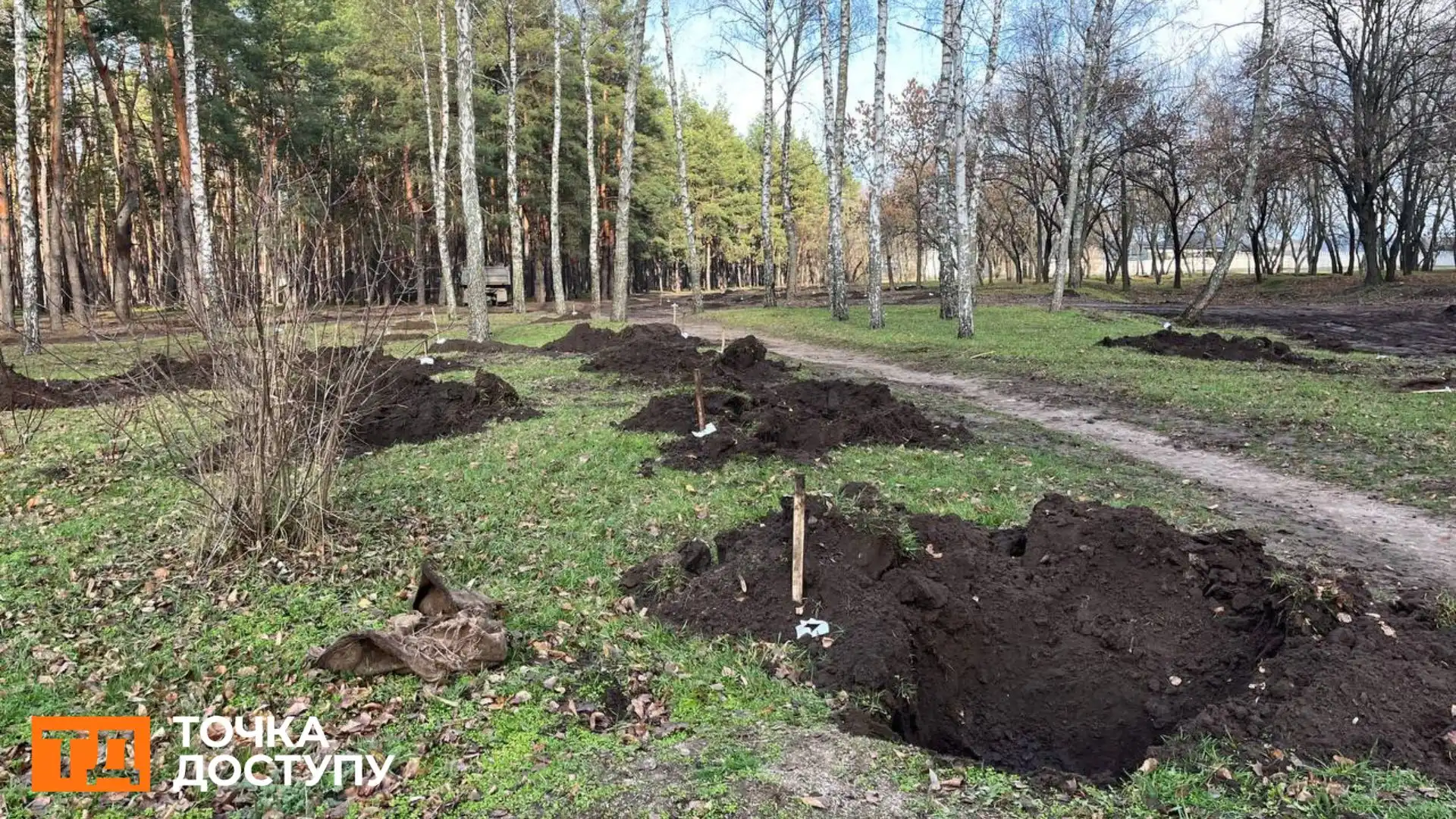 Ще 50 дерев посадили в лісопарку “Сосновий” у Кропивницькому: висаджувати дерева в цьому році там більше не будуть