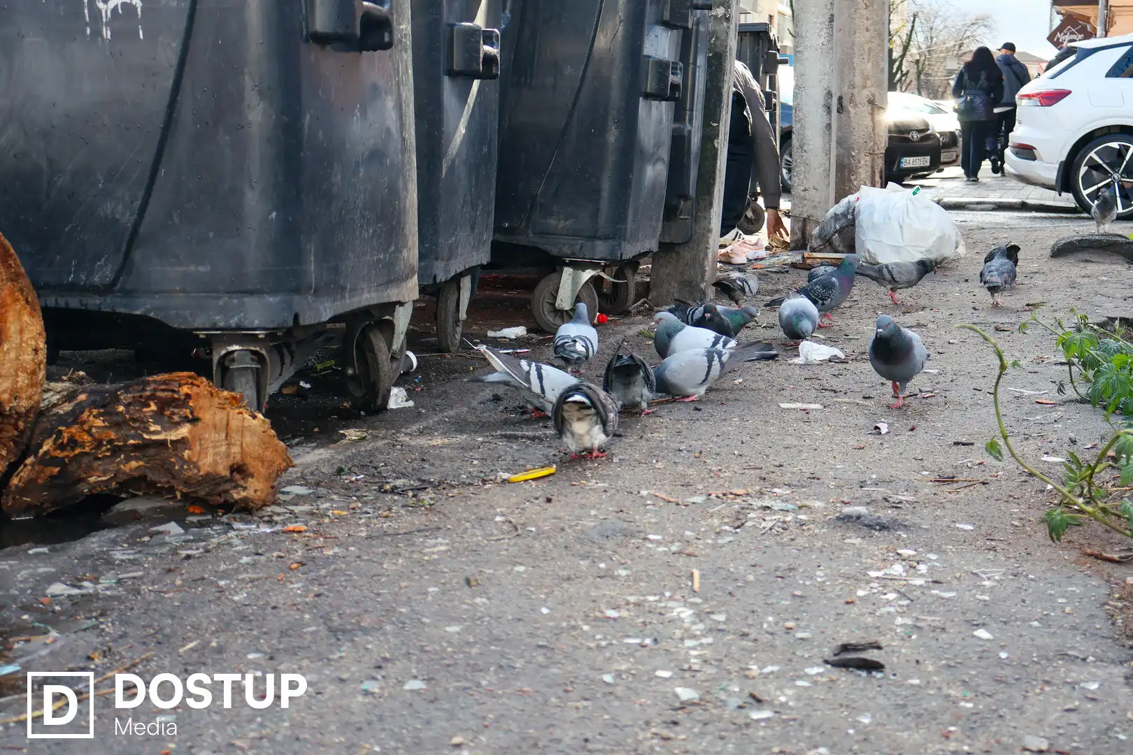 Сміття на Гоголя у Кропивницькому