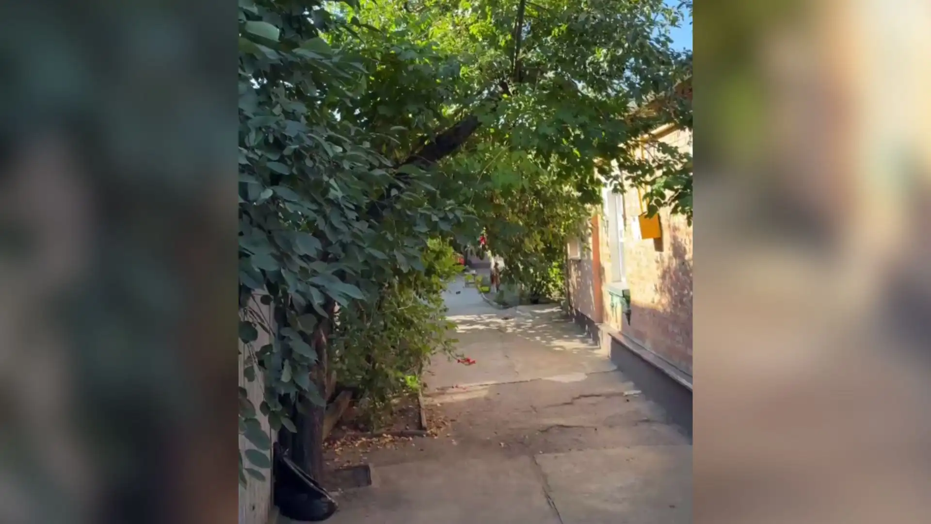 Кропивницький: жінка провалилася у вбиральню, її госпіталізували