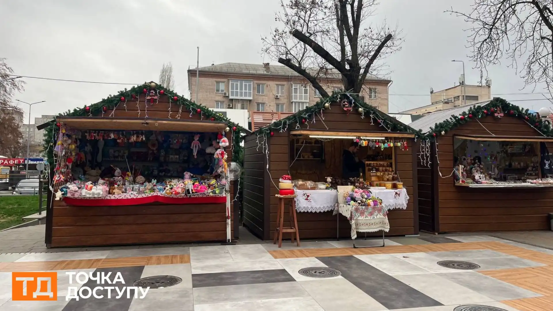 Встановили ялинку в Центральному сквері у Кропивницькому