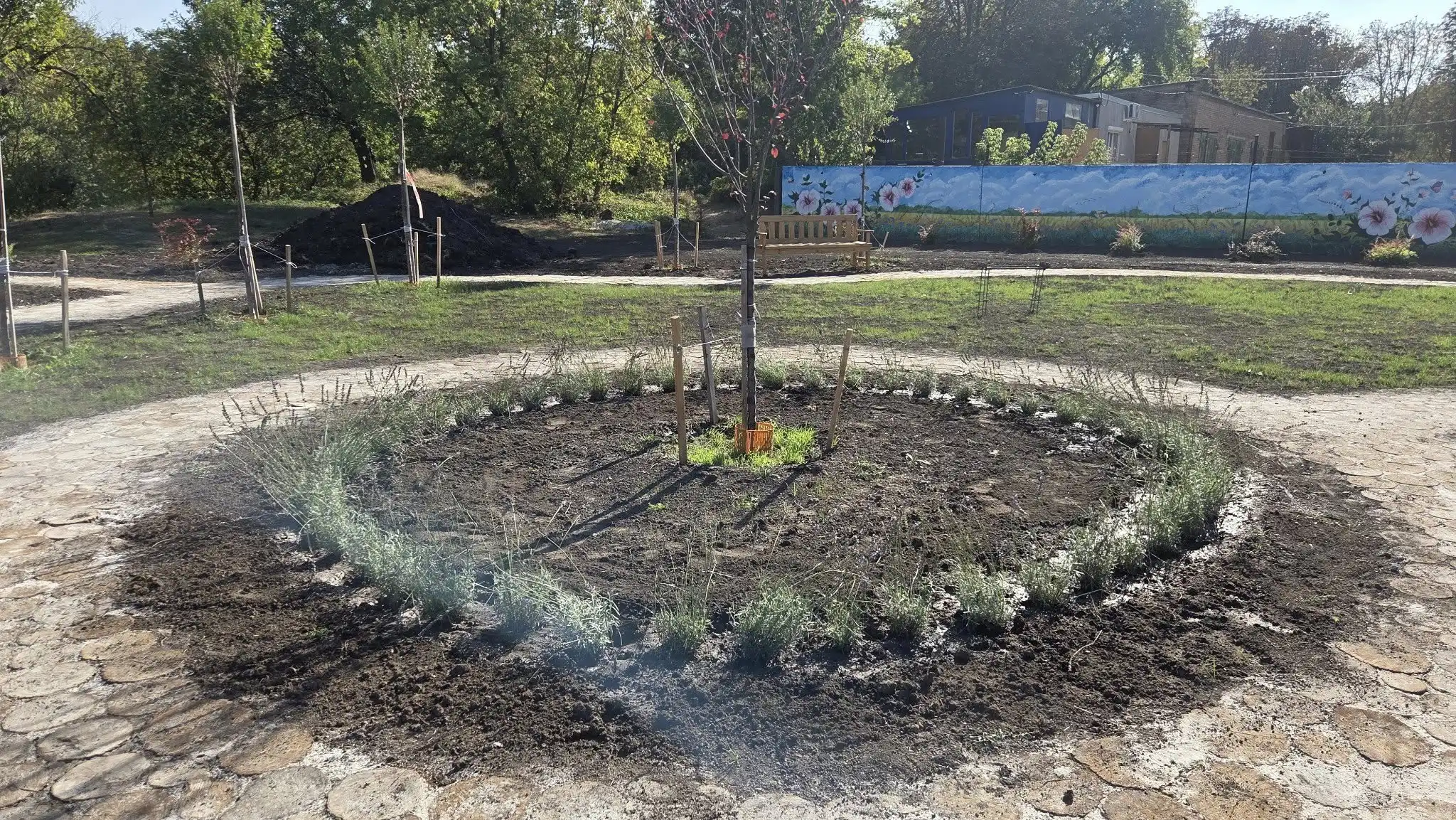 Сквер біля "Порталу" облаштували у Кропивницькому