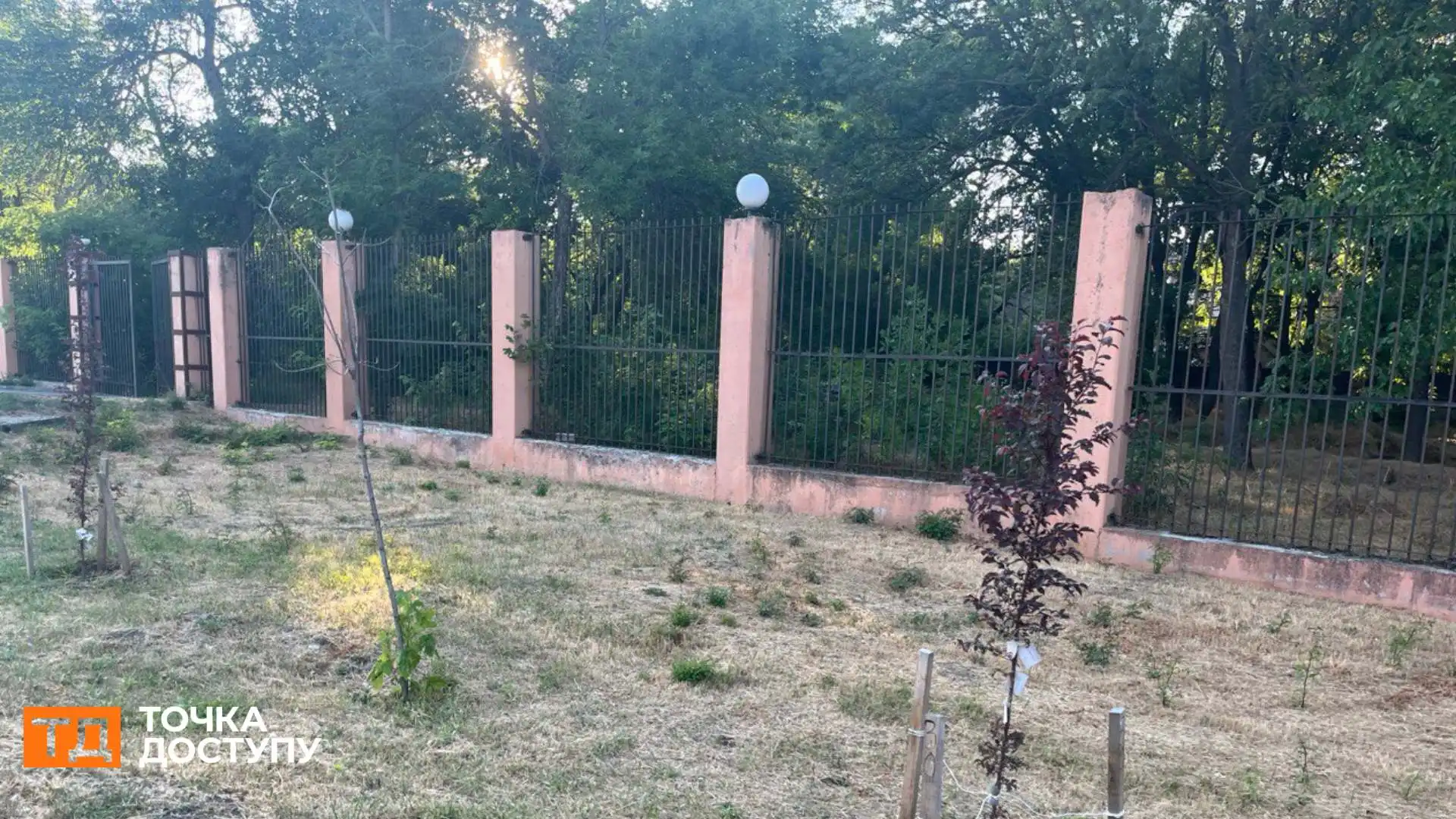 “Здорові всі”: у Кропивницькому перевірили дерева, висаджені на Алеї Героїв