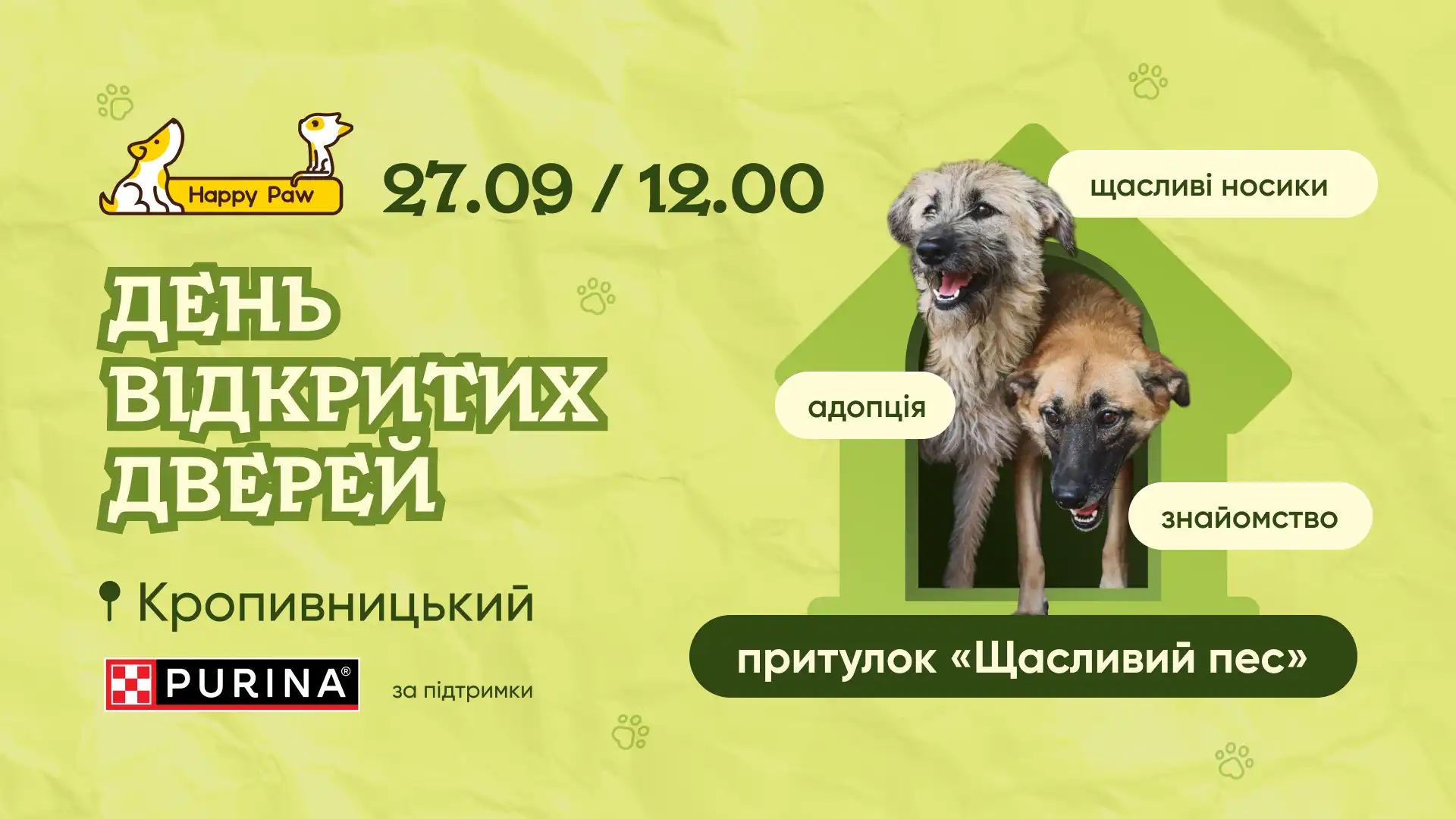 У притулку для тварин поблизу Кропивницького проведуть День відкритих дверей: як долучитися