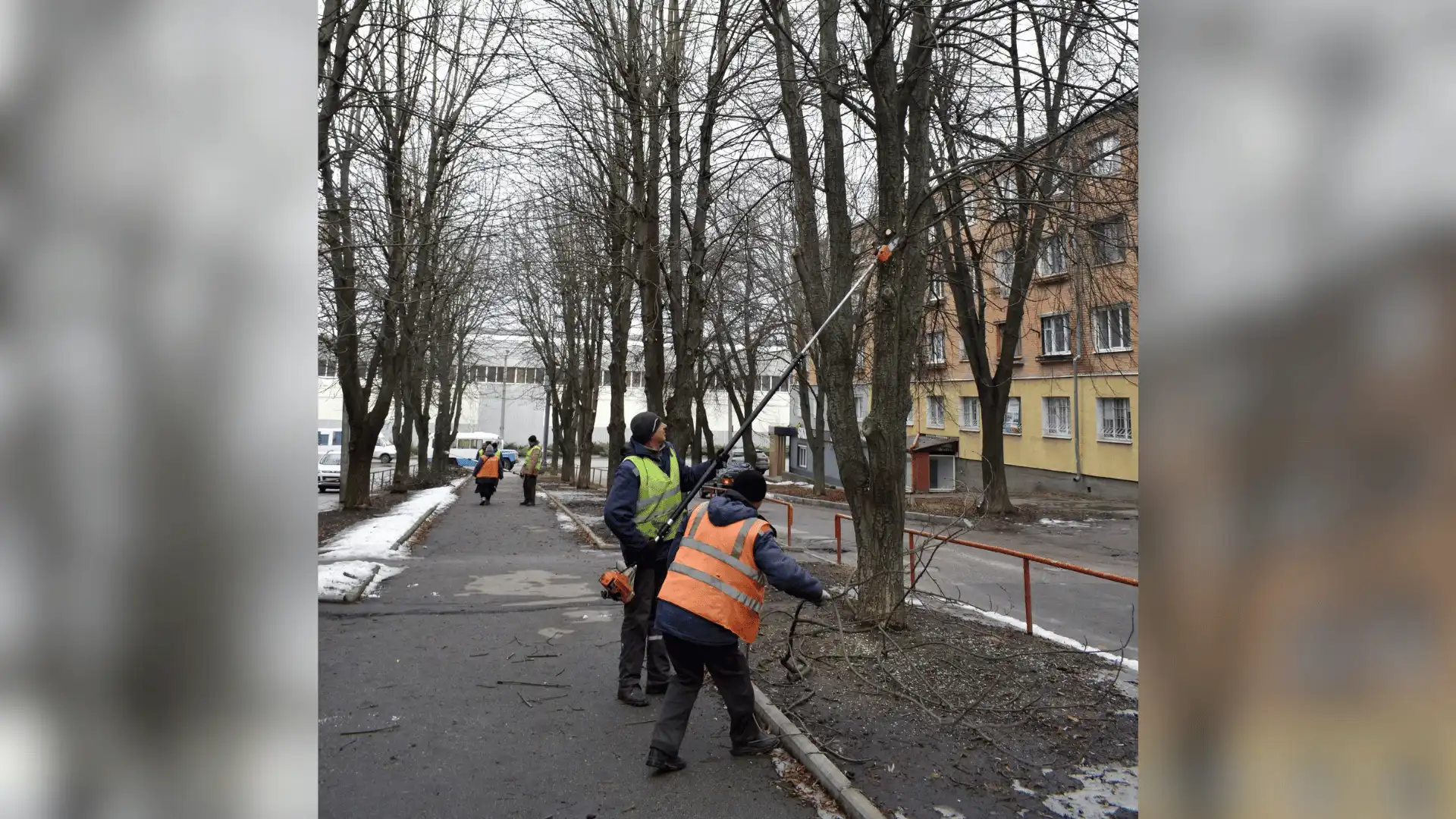 Облаштування Алеї пам'яті в Кропивницькому