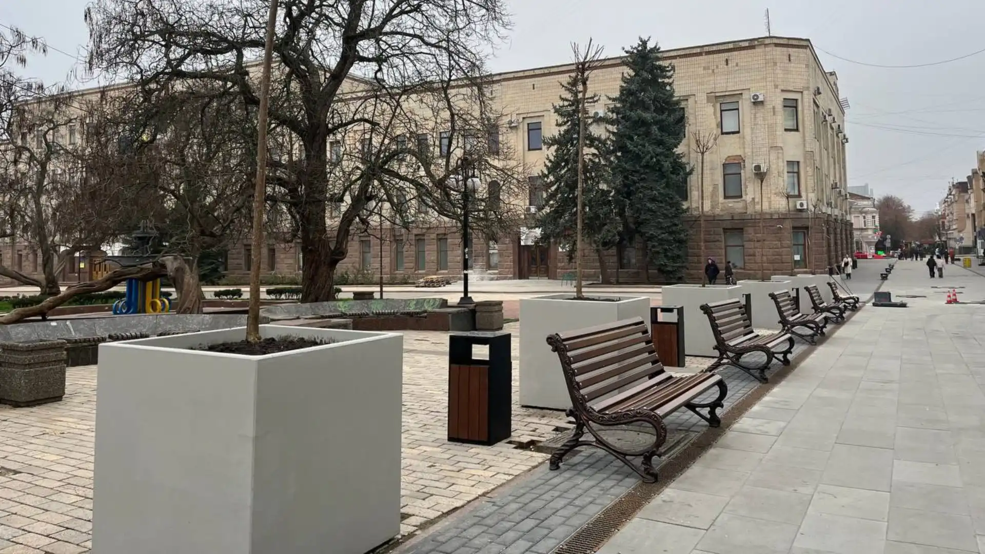 Одинадцять катальп висадили на Театральній у Кропивницькому