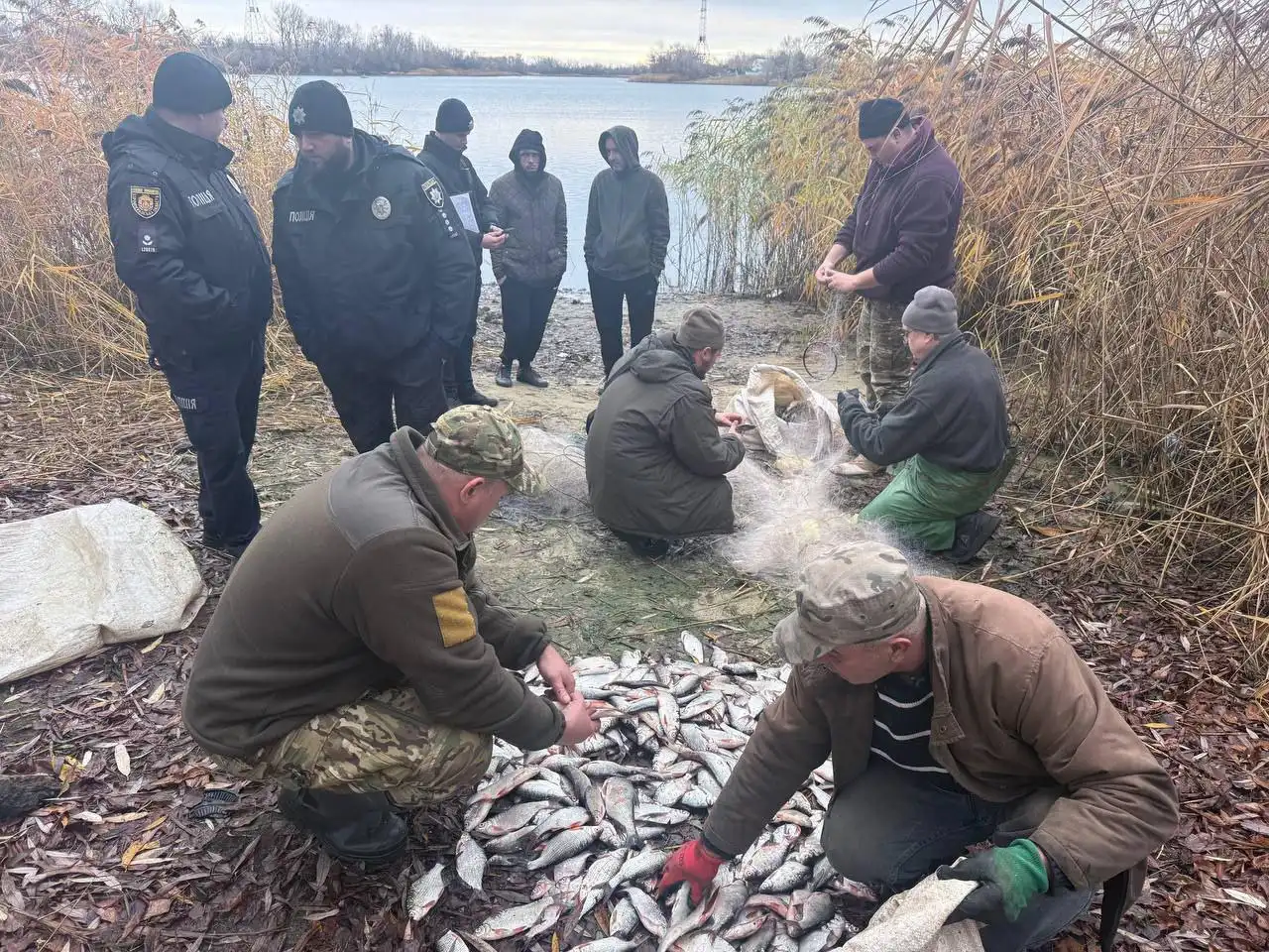 Браконьєрів виявили поблизу Світловодська 13 листопада