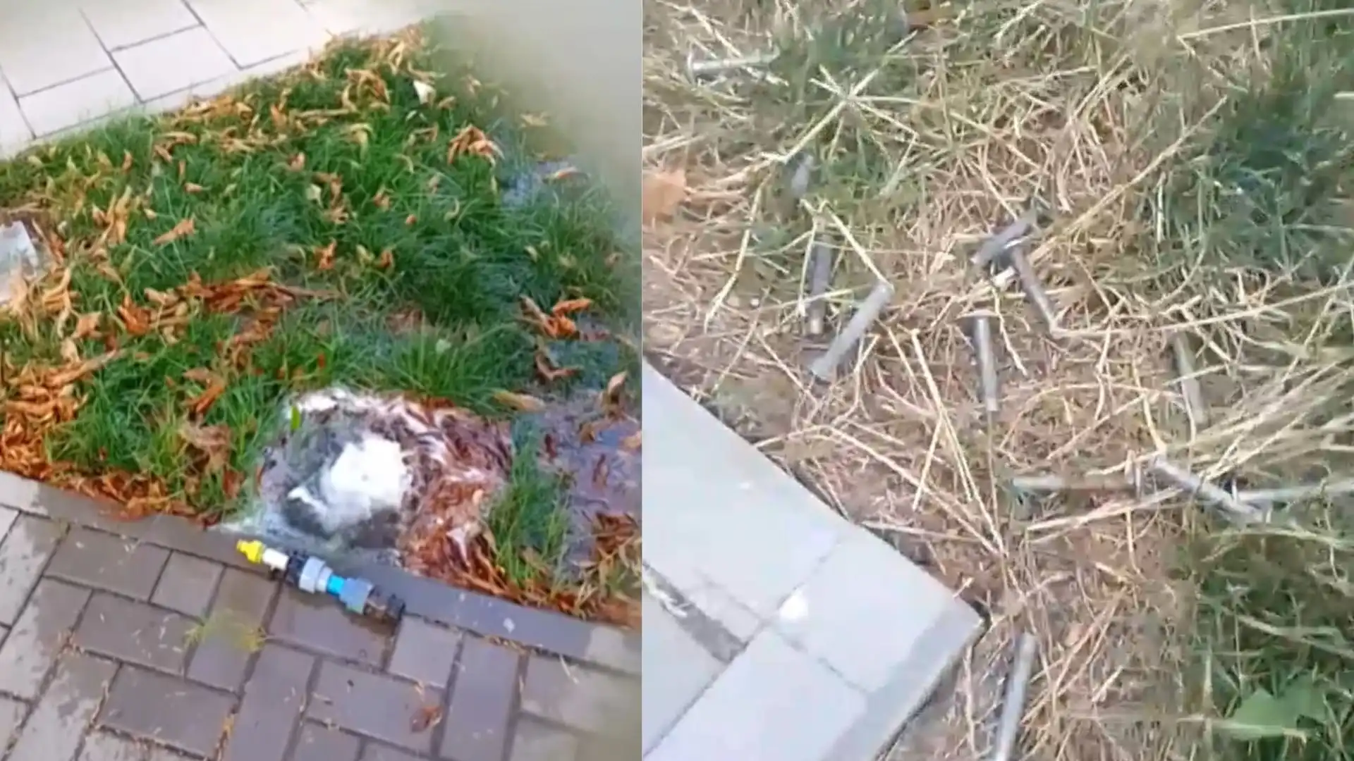 Кропивницький: більше половини лавок у Центральному сквері зламали