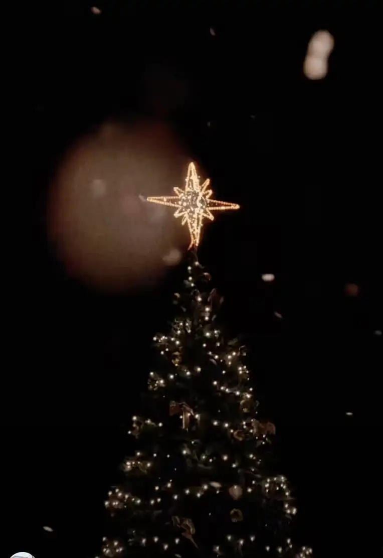 Ялинки у громадах