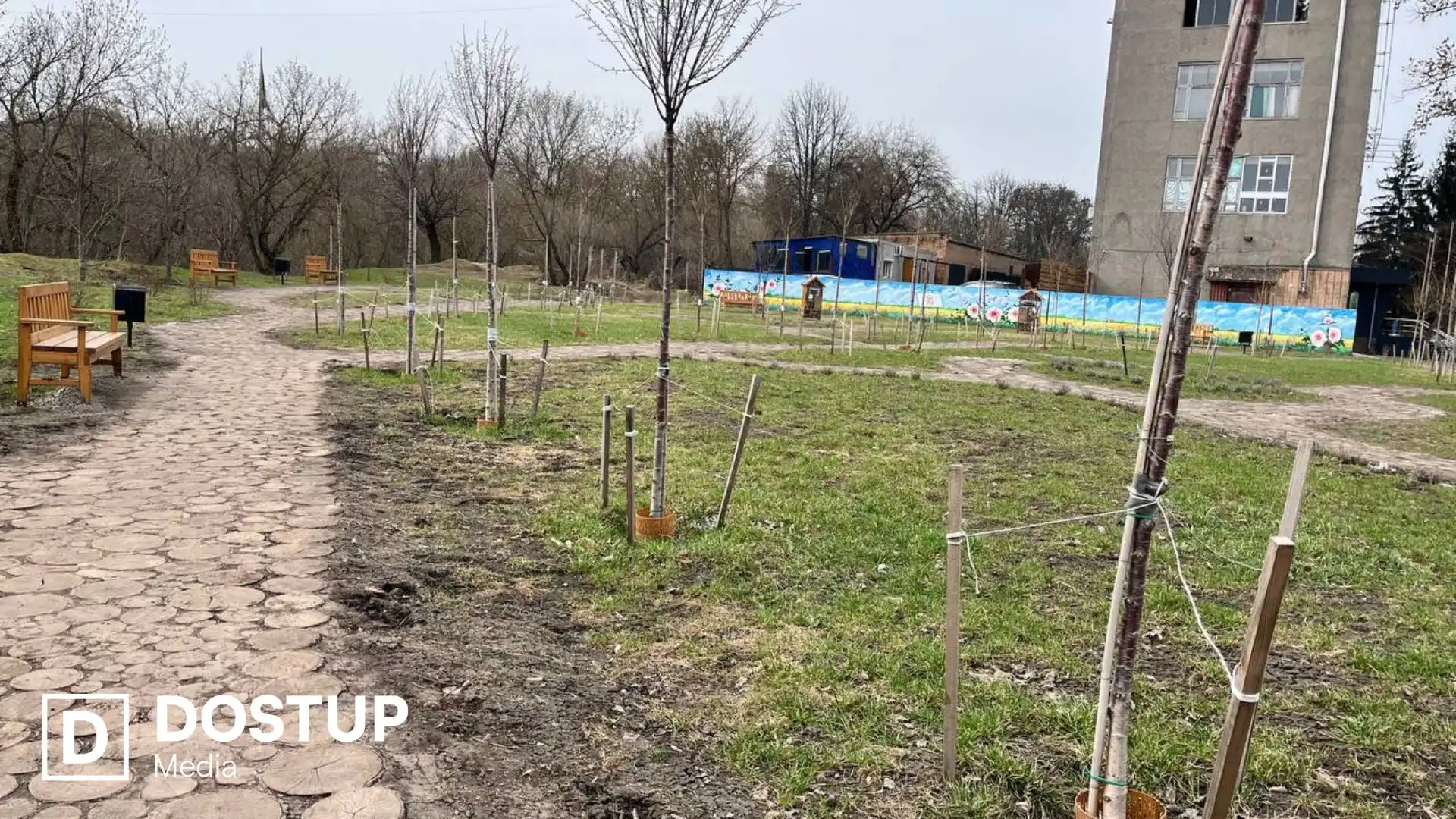 Екосквер на Соборній у Кропивницькому: дерева і кущі прижилися, але балансоутримувача ще оформлюють