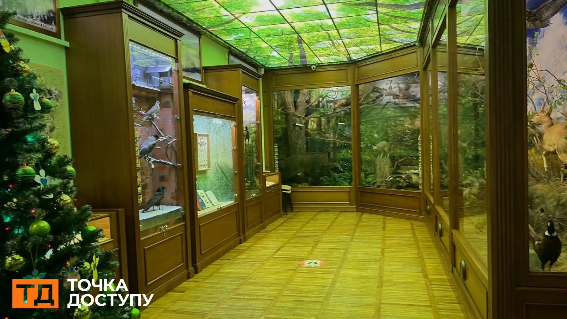 Єдине в Україні дзеркало доповненої реальності відкрили у Кропивницькому