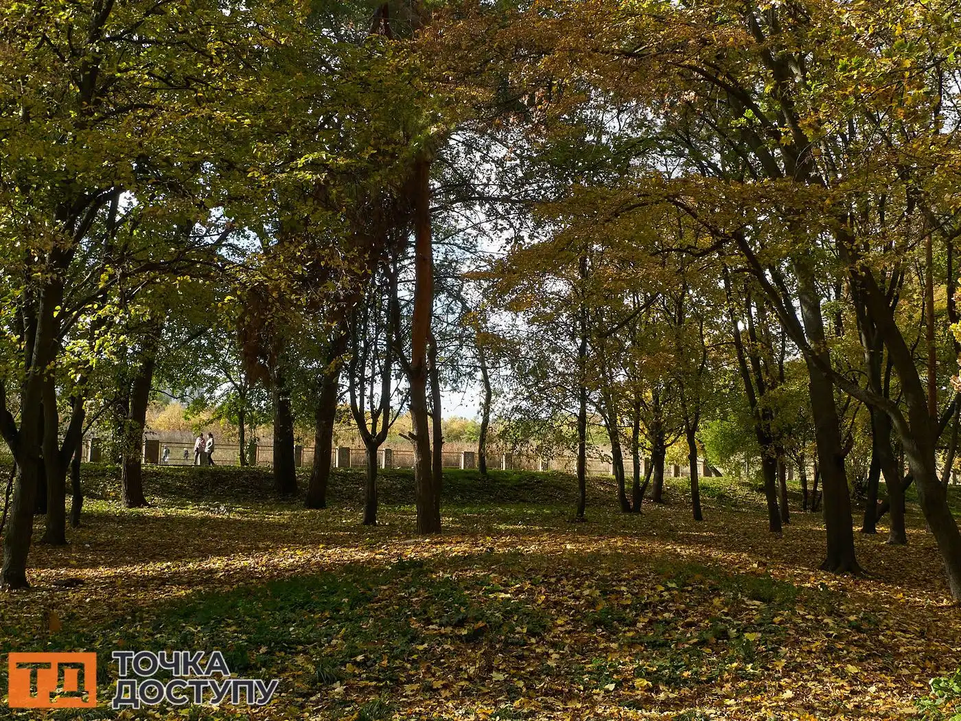 Осінні заходи в Кропивницькому збирають мешканців на фестивалі, ярмарки та виставки.
