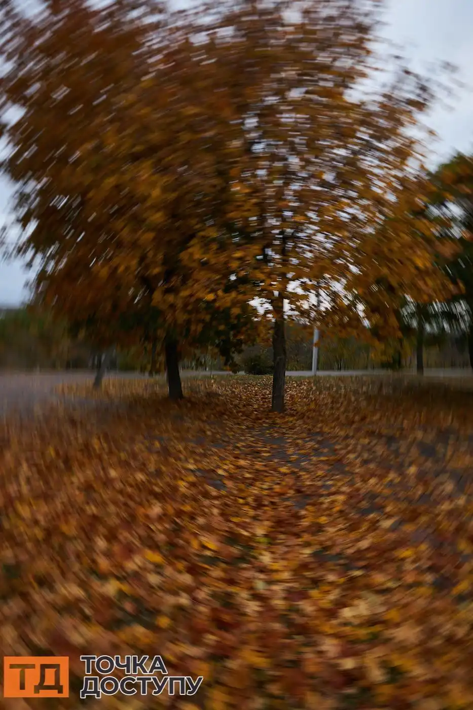 Атмосфера осені в Кропивницькому створює відчуття затишку, гармонії та душевного тепла.