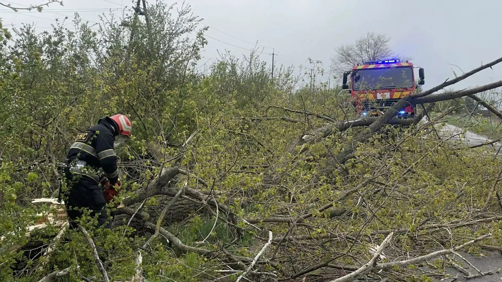 Внаслідок негоди без світла на Кіровоградщині залишаються 33 населені пункти