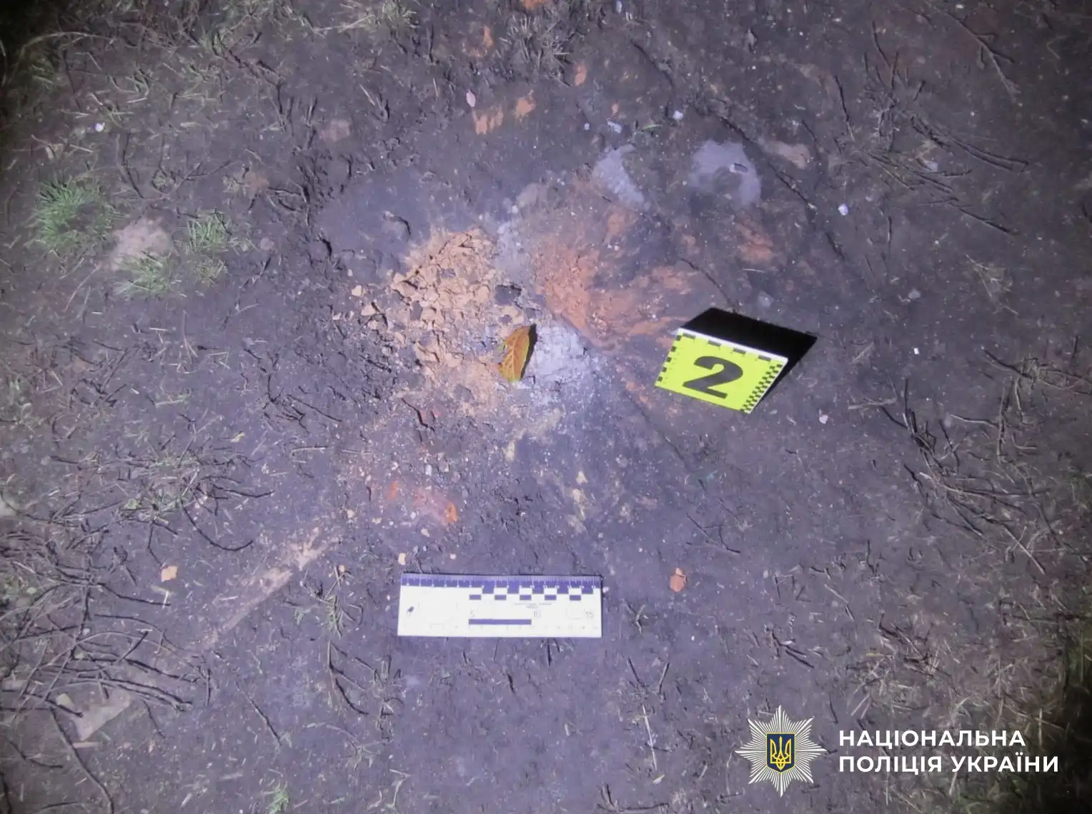 Кіровоградщина: вибуховий пристрій кинув чоловік на подвір'я односельців