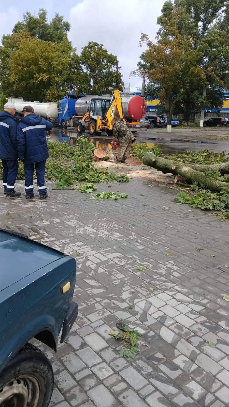 Повалені дерева у Світлоовдську