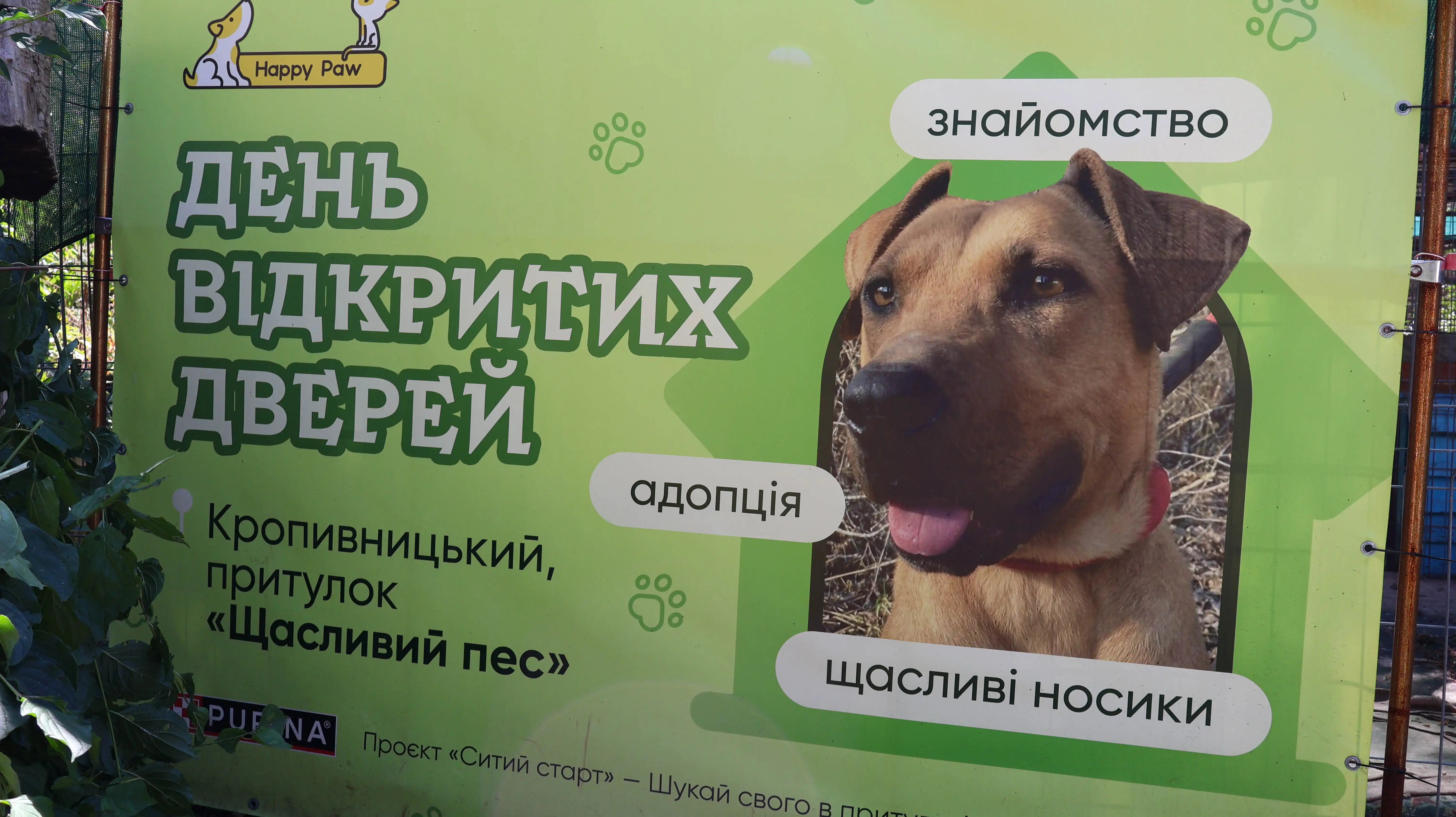 День відкритих дверей у притулку для тварин