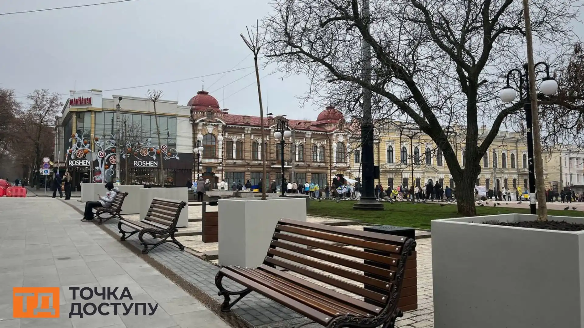 Одинадцять катальп висадили на Театральній у Кропивницькому