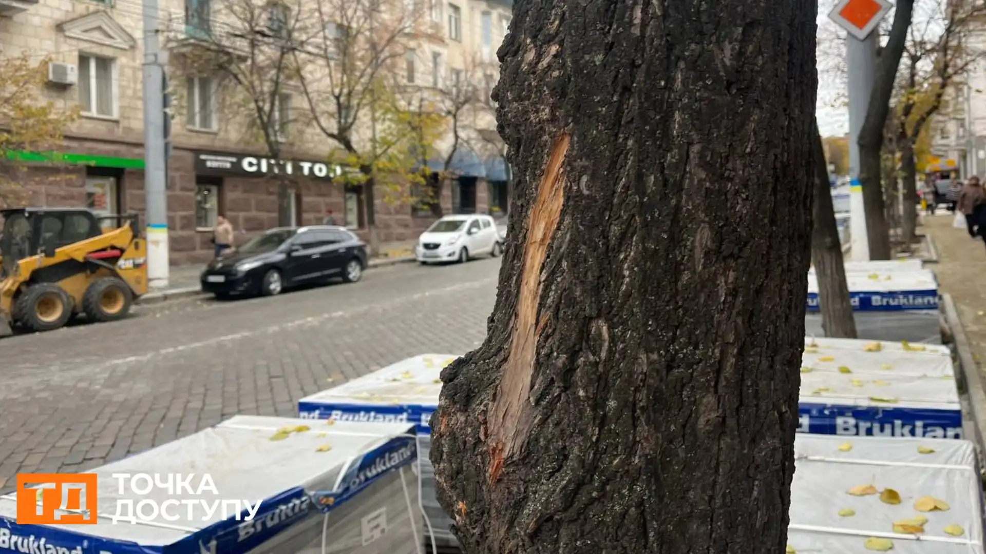 Не менше 20 дерев у Кропивницькому пошкодили під час ремонту тротуарів: що з ними буде