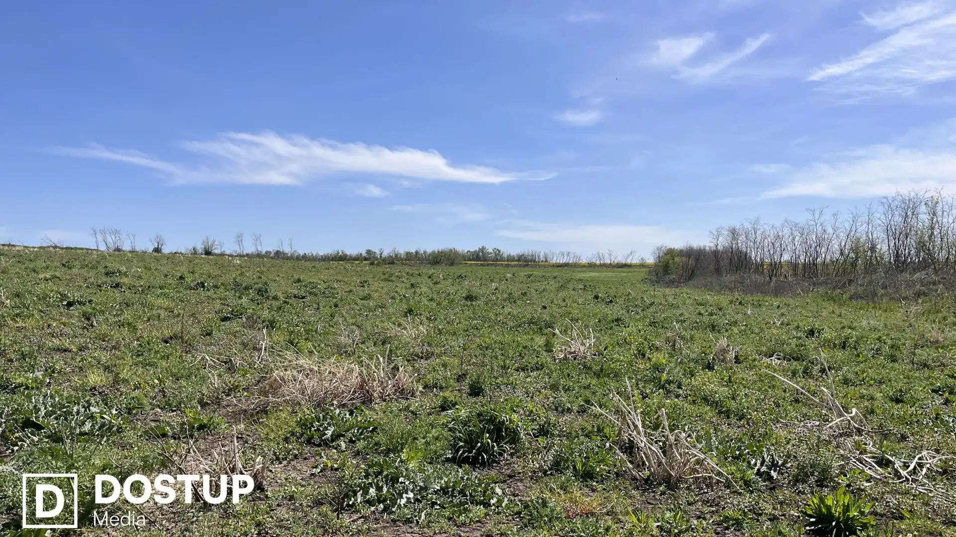 Через війну на Полохівському родовищі літію на Кіровоградщині досі не розпочали видобуток