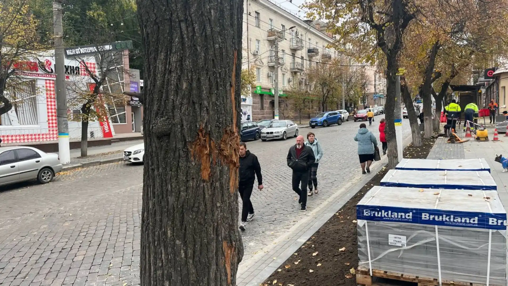 Не менше 20 дерев у Кропивницькому пошкодили під час ремонту тротуарів: що з ними буде