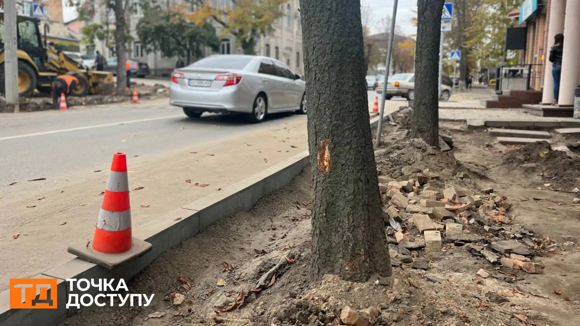 Не менше 20 дерев у Кропивницькому пошкодили під час ремонту тротуарів: що з ними буде