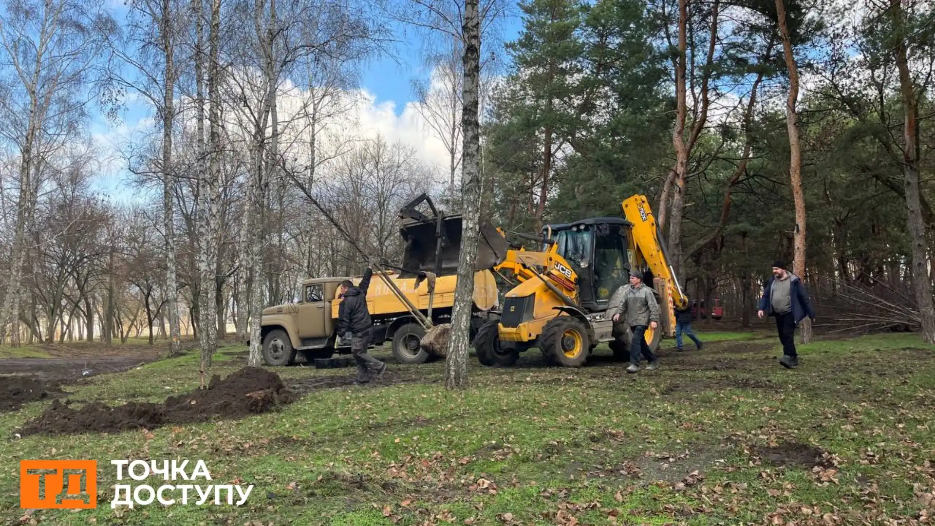 Ще 50 дерев посадили в лісопарку “Сосновий” у Кропивницькому: висаджувати дерева в цьому році там більше не будуть