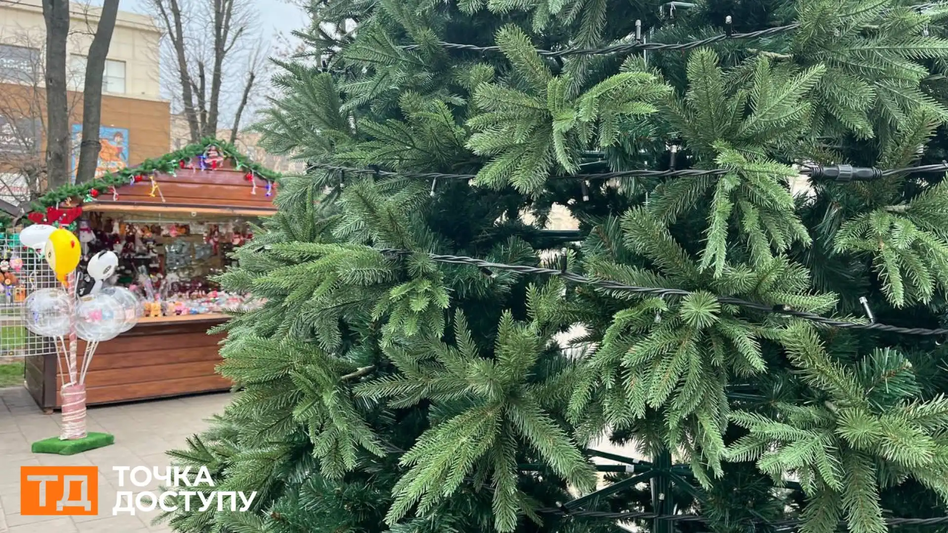 Встановили ялинку в Центральному сквері у Кропивницькому
