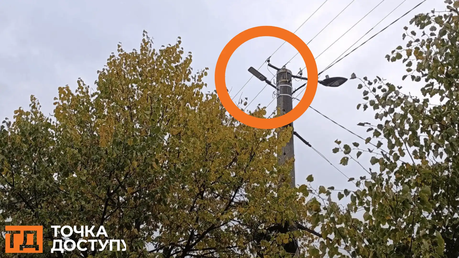 екосквер на Соборній