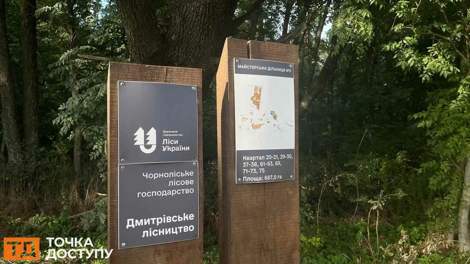 Перший Парк національного значення хочуть створити на Кіровоградщині: лісники проти – Точка доступу з’ясовувала ситуацію