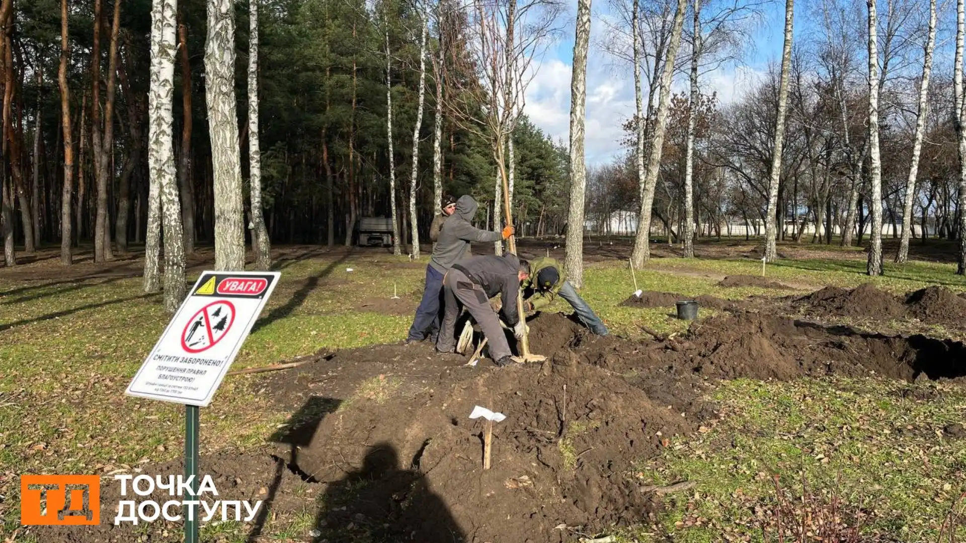 Ще 50 дерев посадили в лісопарку “Сосновий” у Кропивницькому: висаджувати дерева в цьому році там більше не будуть