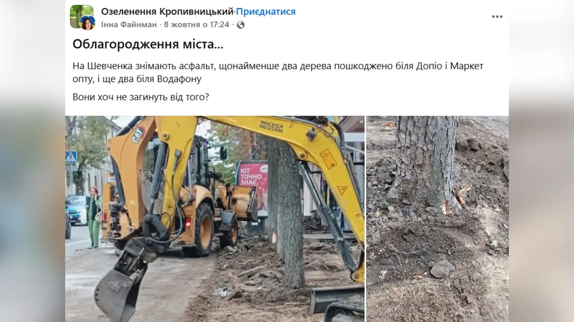 Не менше 20 дерев у Кропивницькому пошкодили під час ремонту тротуарів: що з ними буде