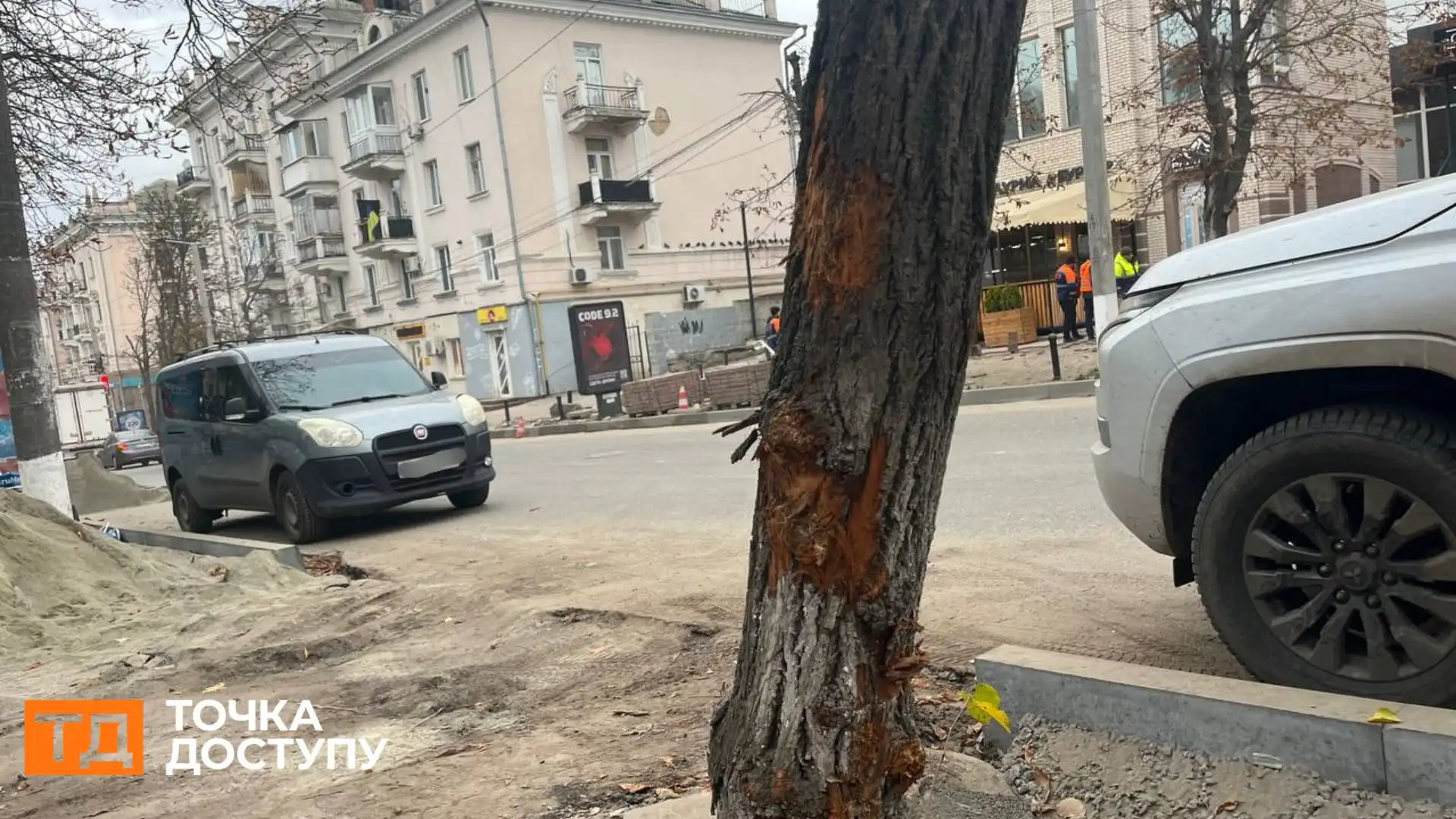 Не менше 20 дерев у Кропивницькому пошкодили під час ремонту тротуарів: що з ними буде