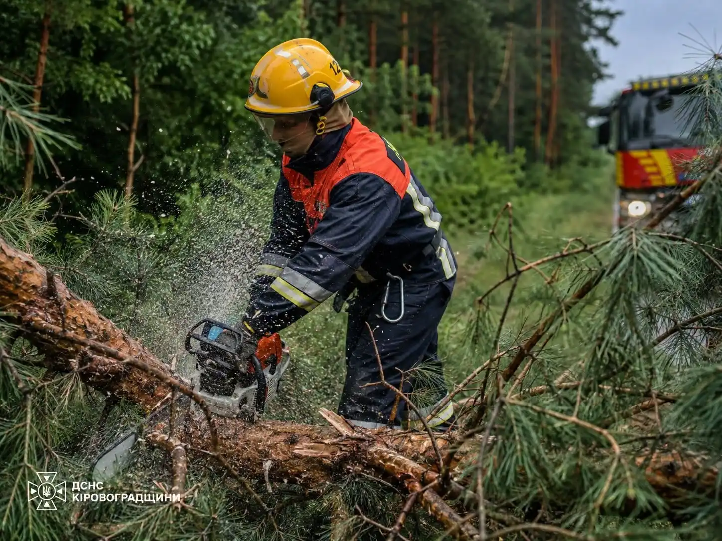 На Лісопарковій у Кропивницькому через негоду падали дерева